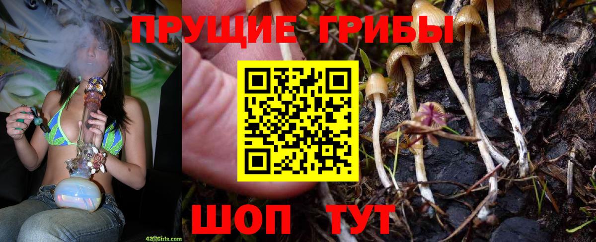 Псилоцибиновые грибы Psilocybine cubensis  Вход с VPN  Коряжма 